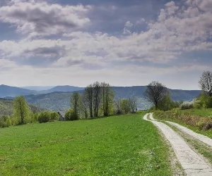 Zdjęcie Beskid Makowski