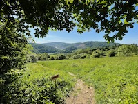 Zdjęcie Beskid Niski wiadomości, Pasmo górskie Beskid Niski informacje i mapa | magazynnaszczycie.pl 
