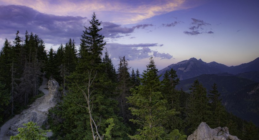 Tatry, na szczycie Gęsiej Szyi (1489 m n.p.m.). Zdjęcie Agnieszka Tracz