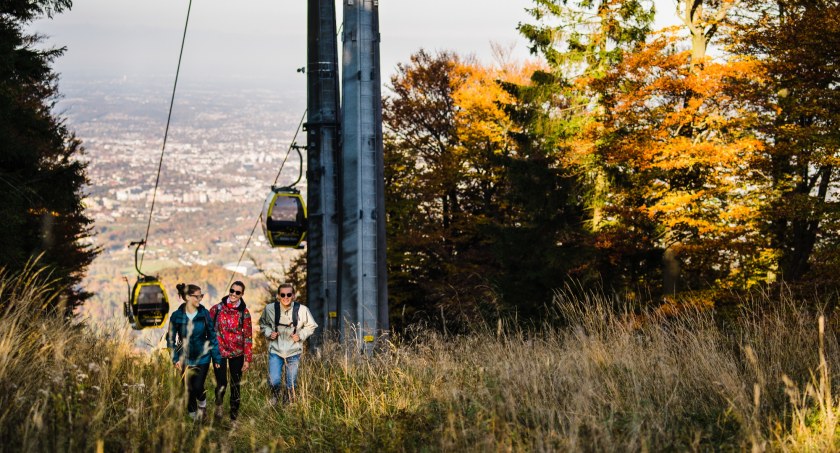 zdjęcie Dominik Imielski