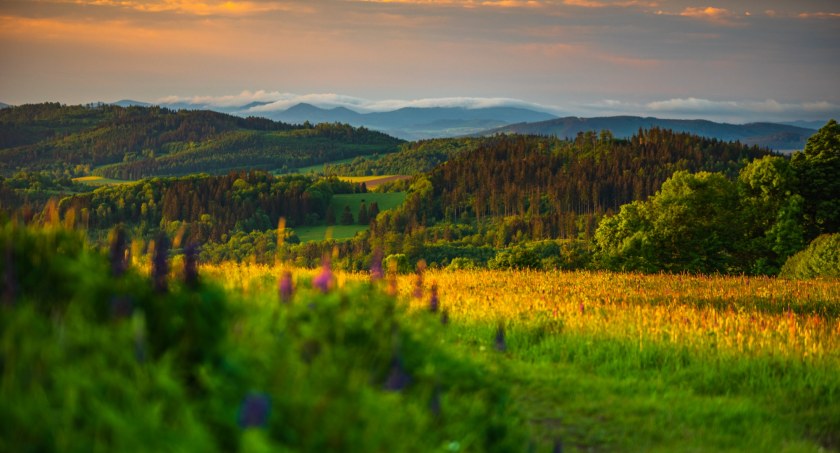 Góry Kaczawskie, zdjęcie Rafał Kotylak