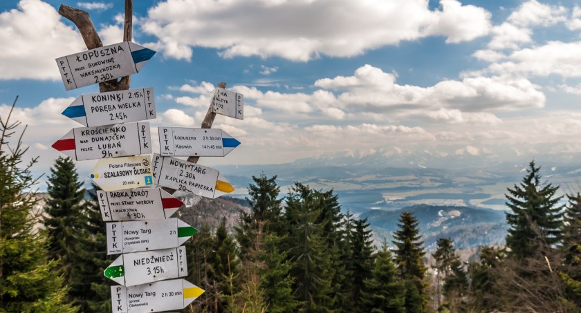 Zdjęcie Adobe Stock