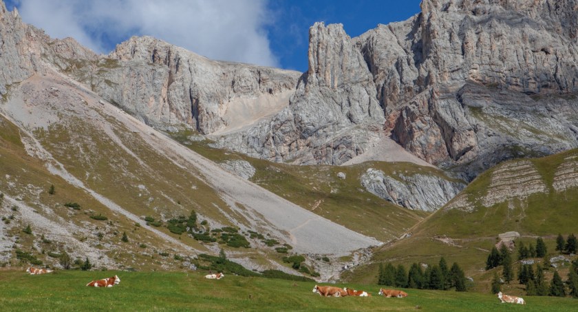 Pod koniec lata hale, przełęcze i szczyty Dolomitów stają się największą sceną koncertową świata, zdjęcie Julia Zabrodzka