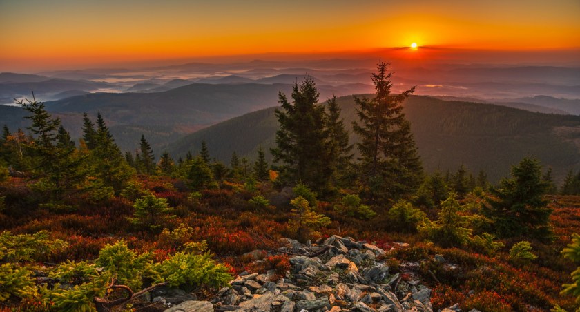 Wschód słońca na Lasockim Grzbiecie, zdjęcie Rafał Kotylak