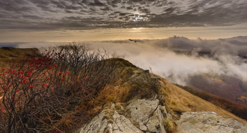 Jesienna Połonina Wetlińska. Zdjęcie Tomasz Poraj www.fotozgor.pl