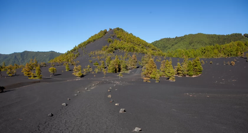 Szlak do punktu widokowego na najmłodszy na wyspie wulkan Tajogaite wiedzie przez pola popiołów przypominające czarne wydmy. Zdjęcie Julia Zabrodzka