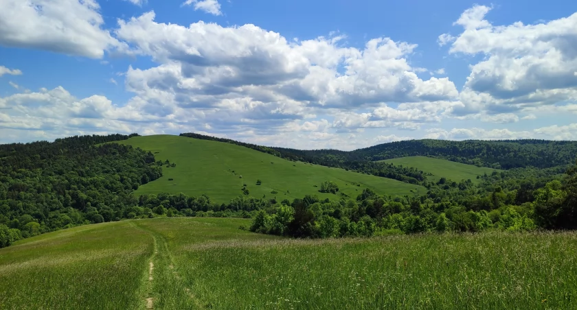 Rozległe polany w Beskidzie Niskim. Zdjęcie Tomasz Cylka