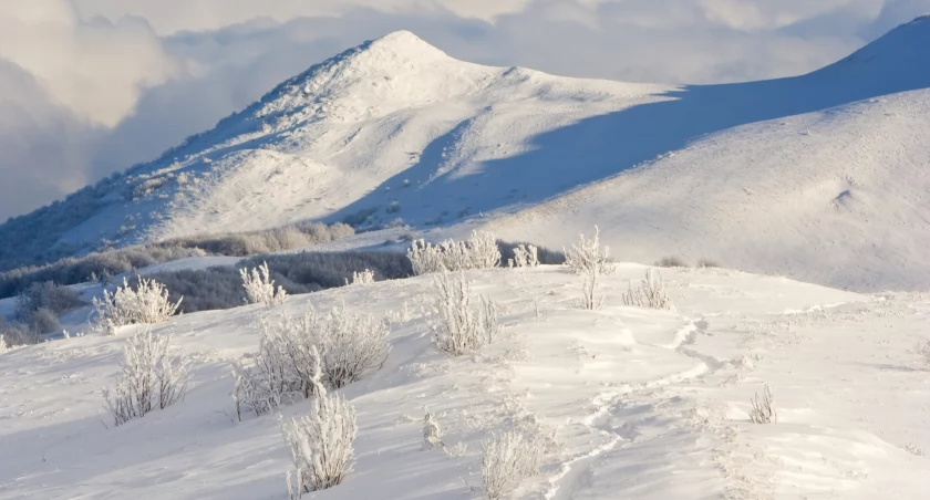 Zdjęcie Adobe Stock