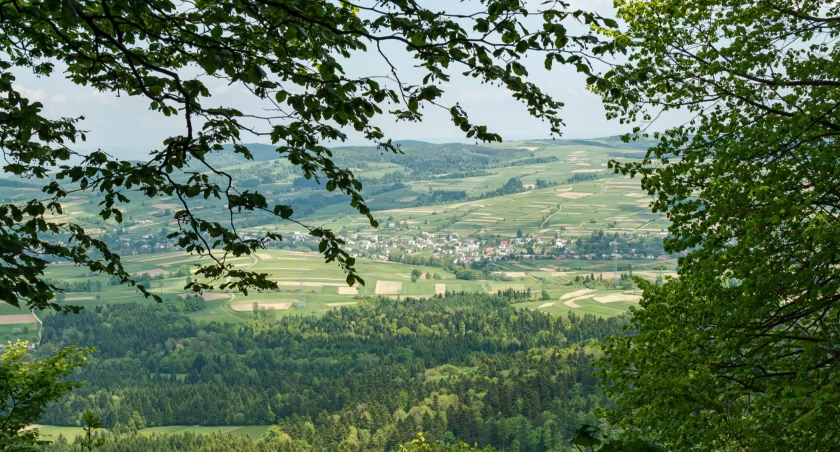 Widok z wieży na Cergowej. Zdjęcie Waldemar Czado