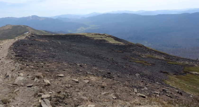Pożarzysko na Połoninie Caryńskiej, zdjęcie Służba Bieszczadzkiego Parku Narodowego