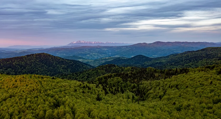 Piękne beskidzkie lasy i widoki na Tatry. Zdjęcie Adobe Stock