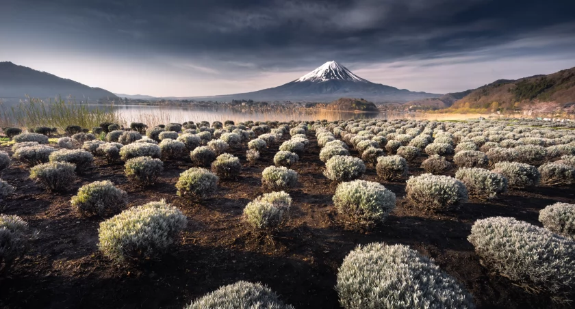 Wulkan Fuji. Zdjęcie Karol Nienartowicz