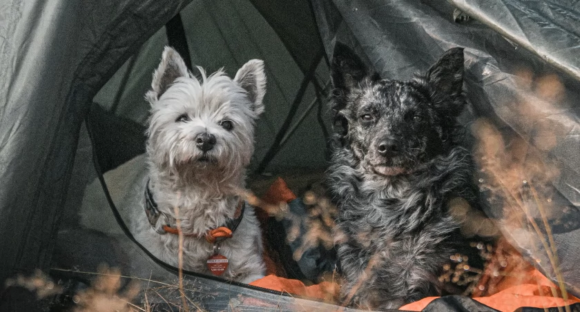 Zdjęcie Magdalena Wilczewska