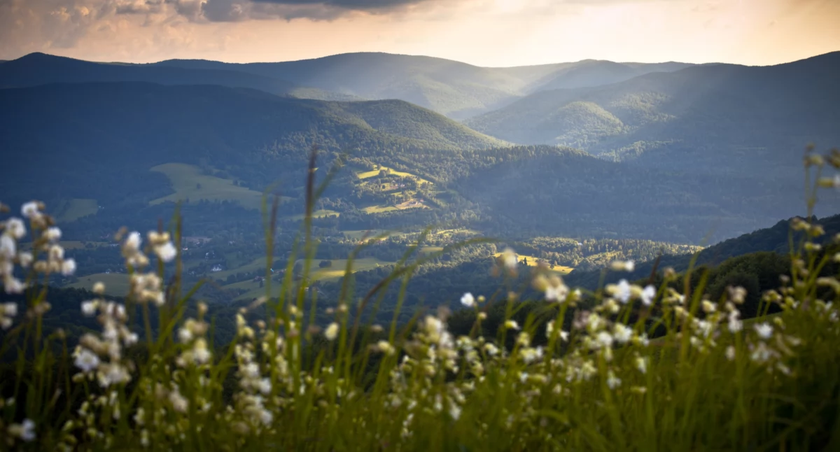 Bieszczady, okolice Wetliny. Zdjęcie Adobe Stock