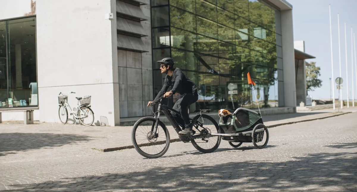 Thule Bexey z pasażerem. Fot. Thule.com