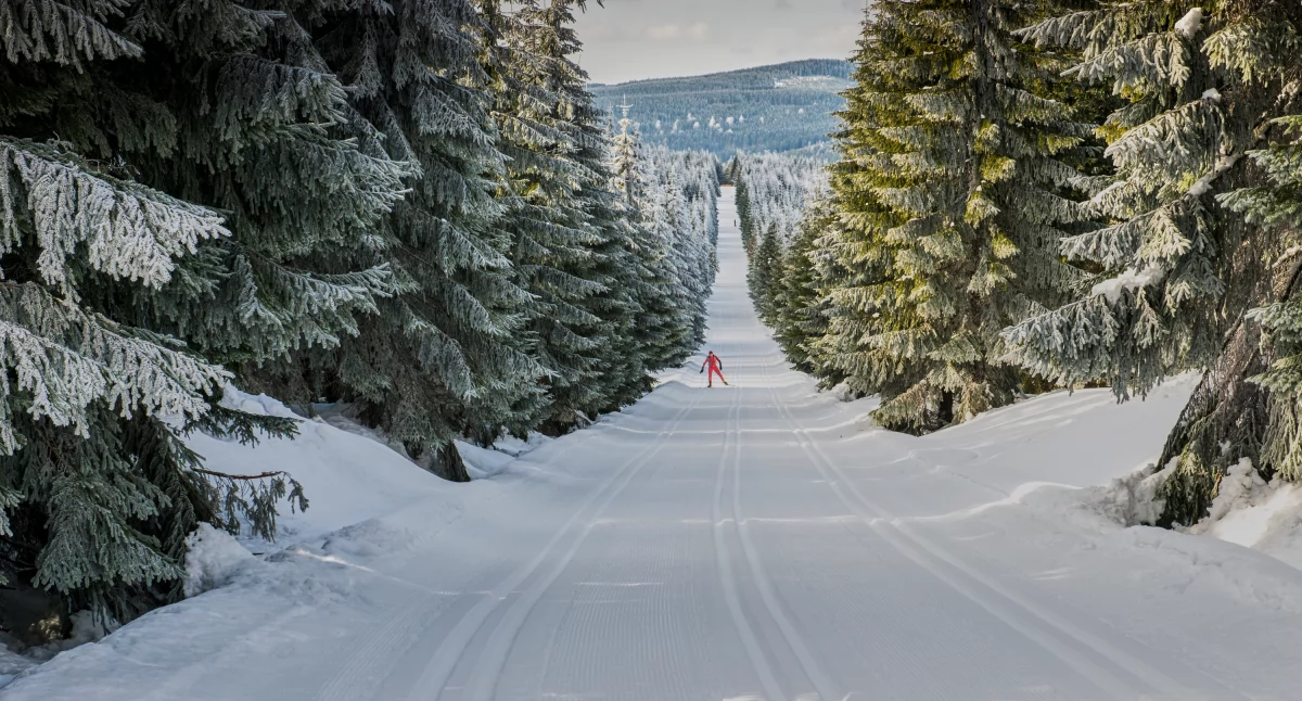 Jakuszyce fot. Adobe Stock