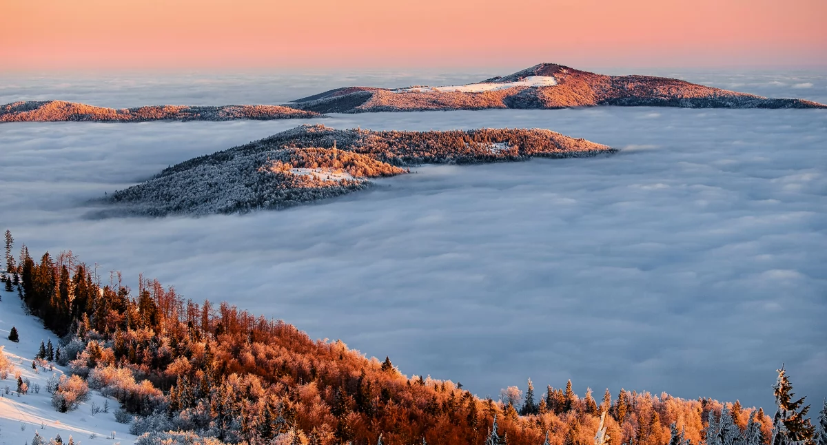 Wędrówka na Mogielicę i Luboń Wielki w Beskidzie Wyspowym