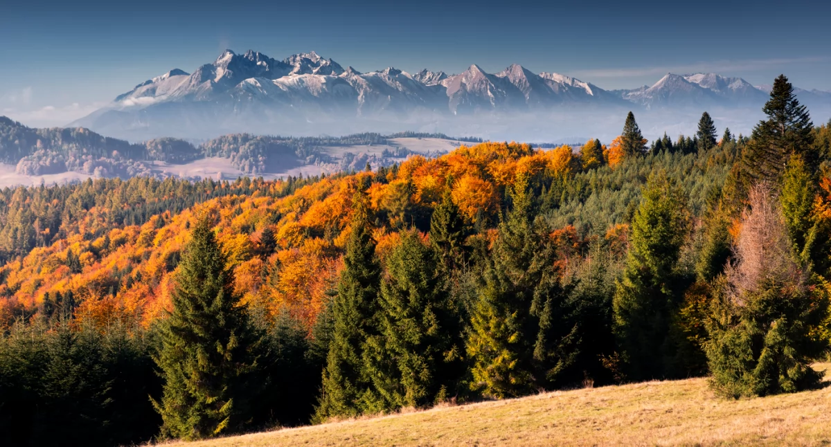 Widok na Tatry z Radziejowej. Fot. Karol Nienartowicz
