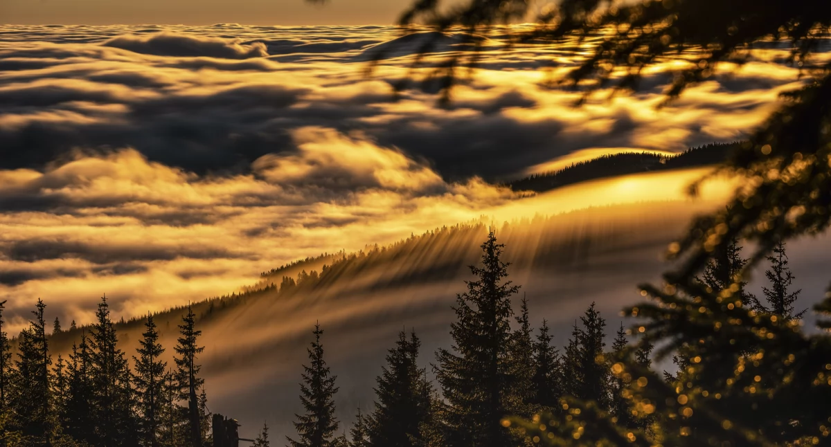 „Lasery” nad Lasockim Grzbietem. Zdjęcie Rafał Kotylak