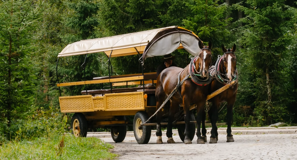 Fasiągi na drodze do Morskiego Oka Adobe Stock