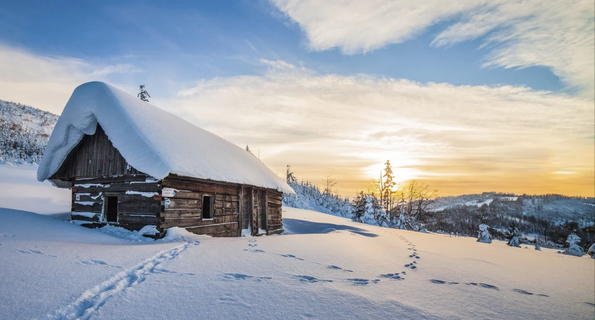 Beskid-Żywiecki, Hala Boracza, Polana-Cukiernica. Fot. Jakub Krawczyk, www.slaskie.travel