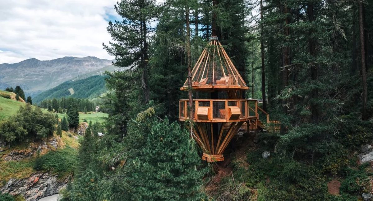 Domek na drzewie Fot. TYROL