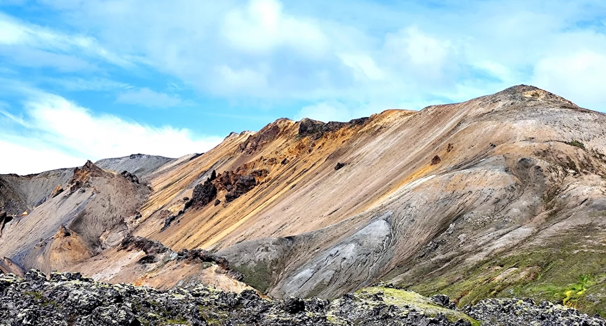 Fot. Magdalena Przysiwek