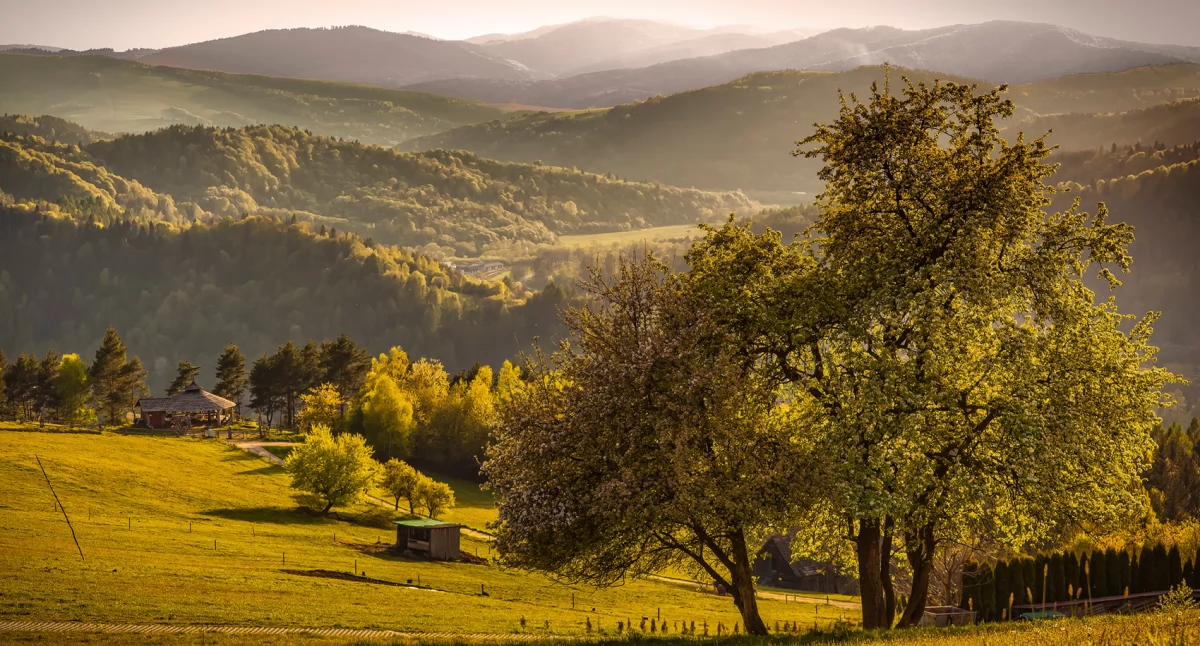 Na górze Malnik, górującej nad Muszyną, istnieje mała osada z kilkoma domami. Mieszkańcy mają stąd piękny widok m.in. na Dolinę Popradu i Pieniny. Fot. Konrad Rogoziński, Odkryj Beskid Sądecki i Sądecczyznę