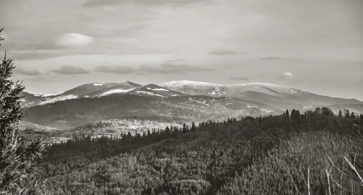 Wędrując na Trojaki zobaczymy m.in. Masyw Lipowskiej i Rysianki oraz Pilsko Fot. Radosław Szczepanek