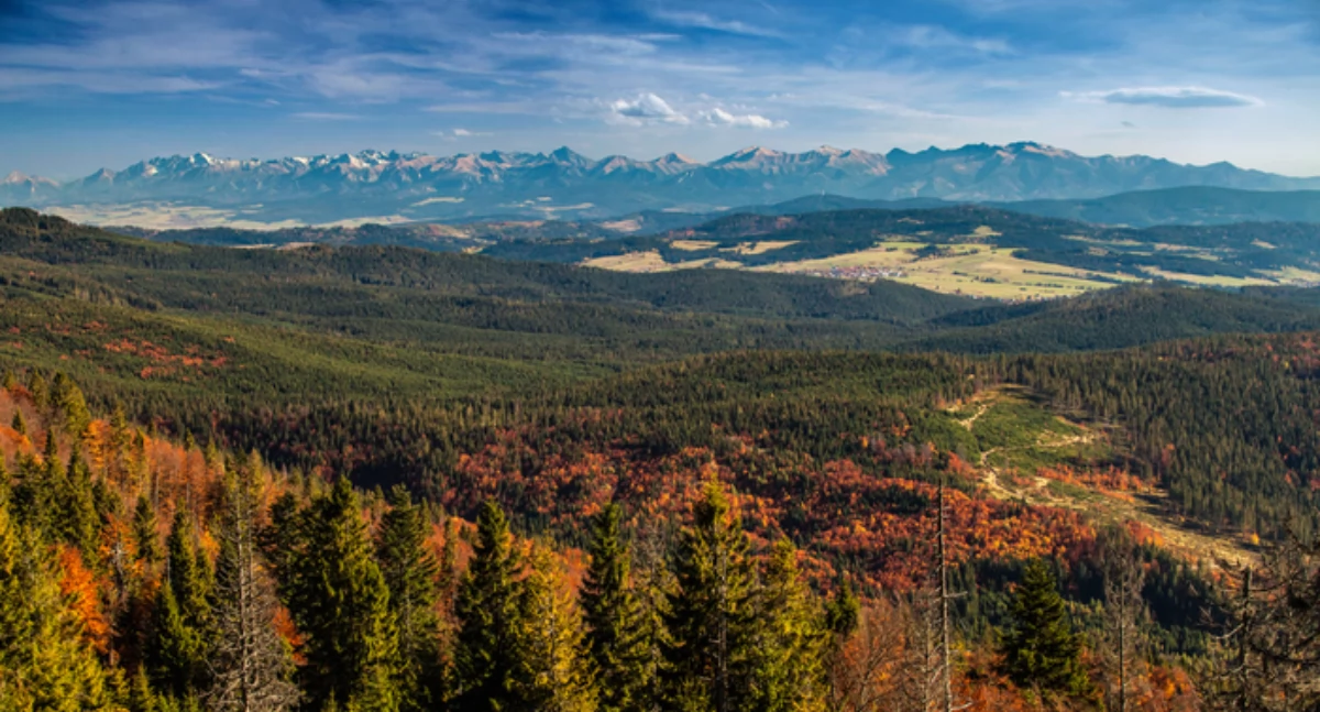 Rysianka i Hala Lipowska4 fot. www.slaskie.travel J.Krawczyk