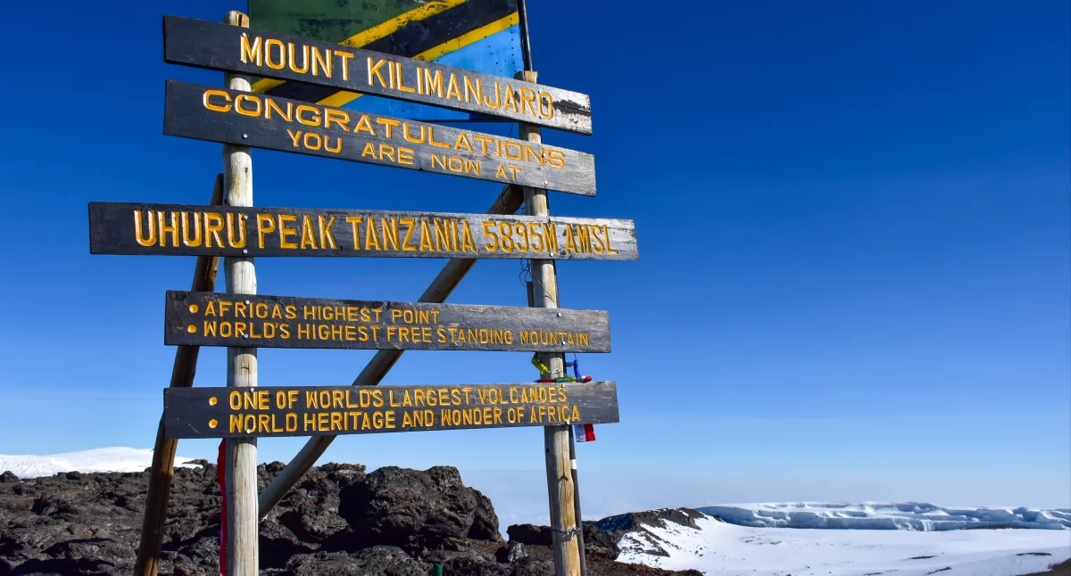 Fot. Katarzyna Juszczyk