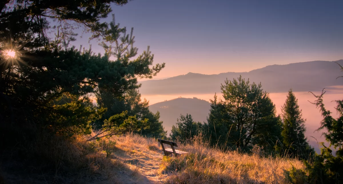 Fot. Jakub Polanowski