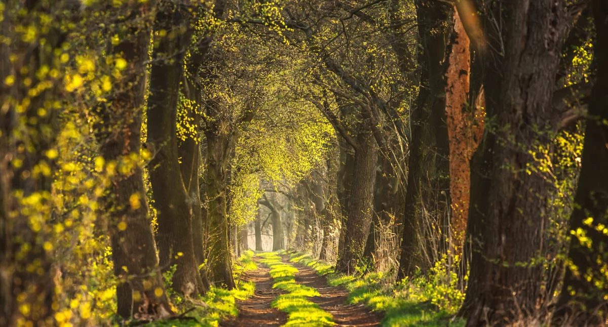 Fot. Paweł Uchorczak