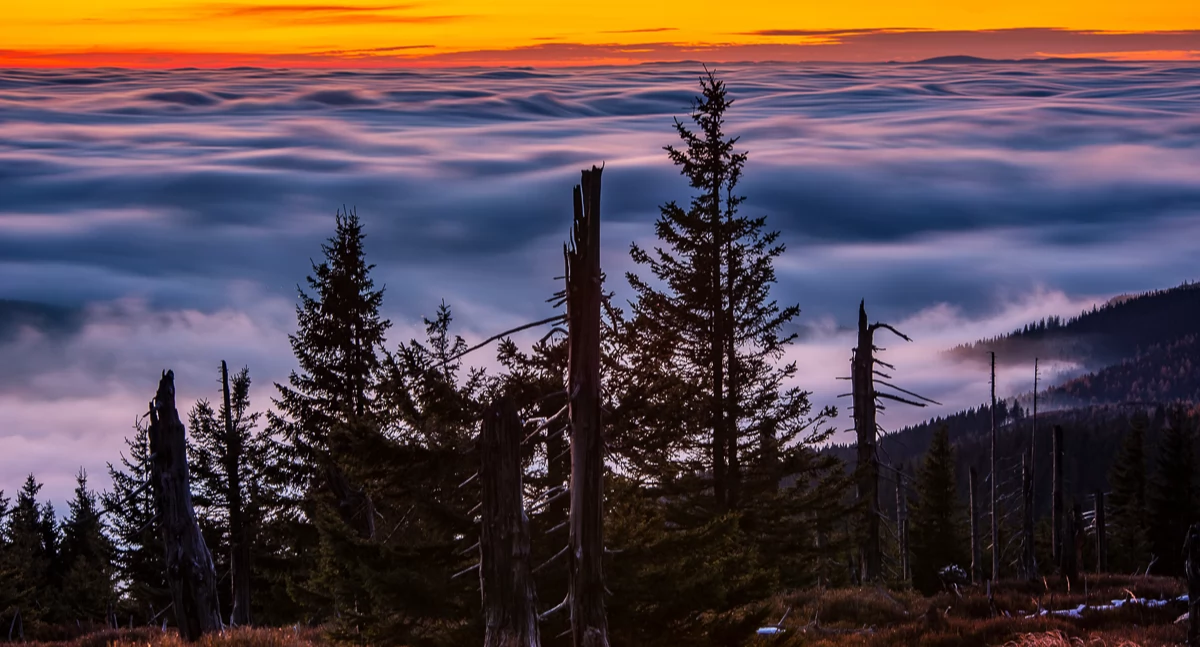 Nad Przełęczą Okraj Fot. Rafał Kotylak