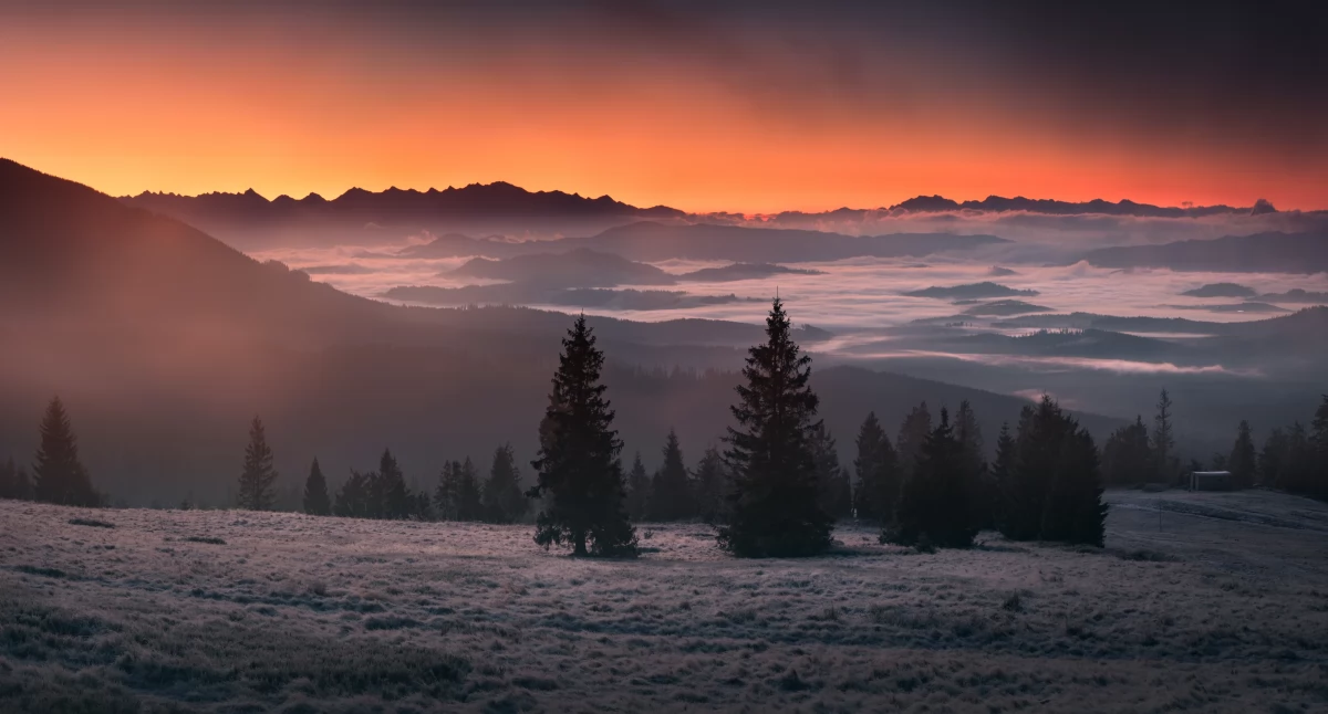 Widok na Tatry z Rysianki o wschodzie słońca. Fot. Karol Nienartowicz