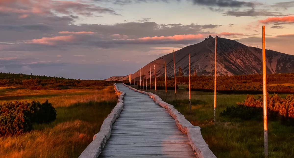 Widok na Śnieżkę. Fot. Rafał Kotylak