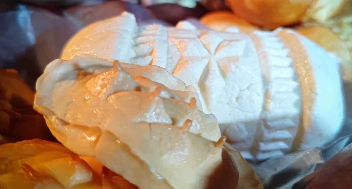 Fot. Katarzyna Łukasik