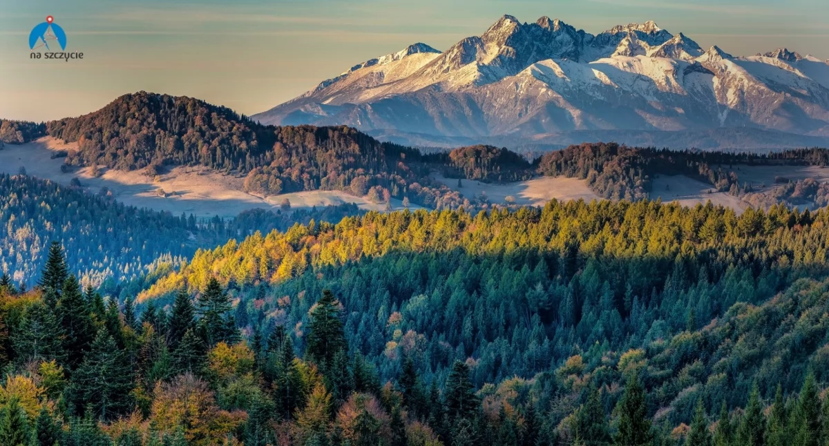 Panorama z Przełęczy Gromadzkiej na Tatry Bielskie i Wysokie oraz Pieniny Małe. Fot. Wiktor Baron