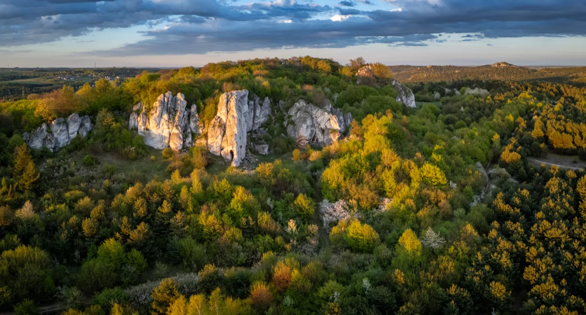 Skały Rzędkowickie | Fot. Jakub Krawczyk