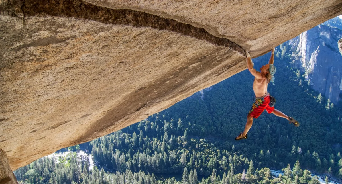 Fot. Heinz Zak, CC BY-SA 4.0 via Wikimedia Commons