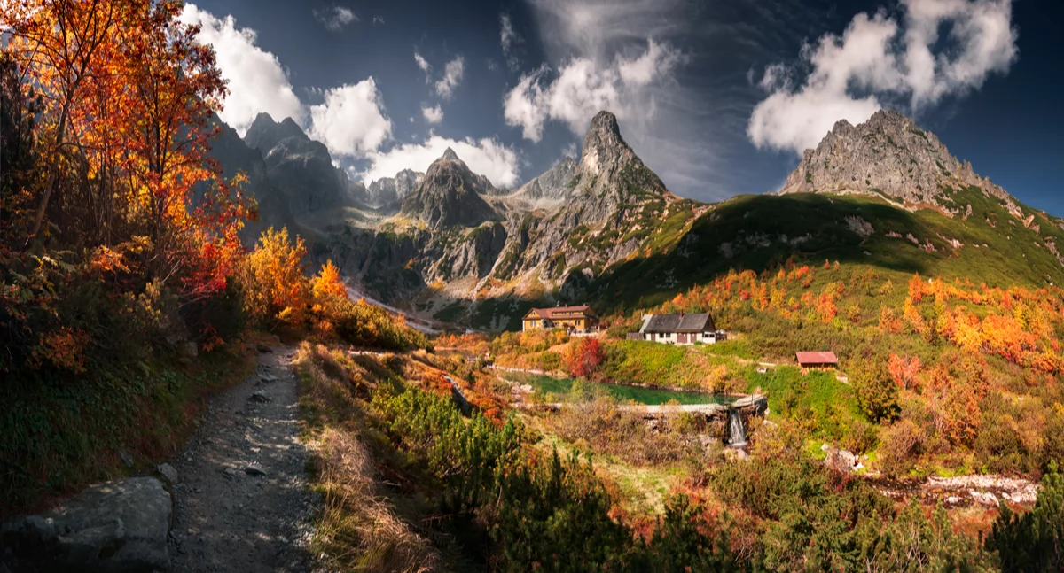 Zielony Staw Kieżmarski z żółtego szlaku prowadzącego do schroniska. Po lewej, za jesiennymi liśćmi, słynna ściana Małego Kieżmarskiego Szczytu. | Fot. Karol Nienartowicz