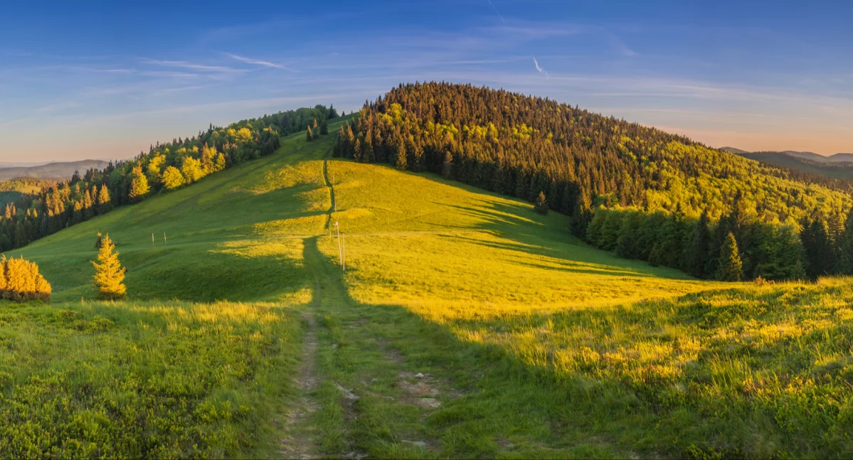 Beskid Żywiecki, Wielka Rycerzowa | fot. J. Krawczyk www.slaskie.travel