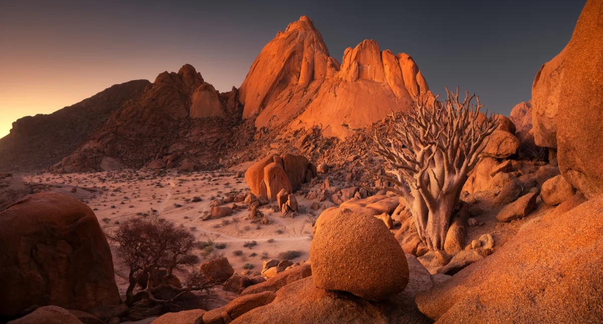 Fot. Karol Nienartowicz