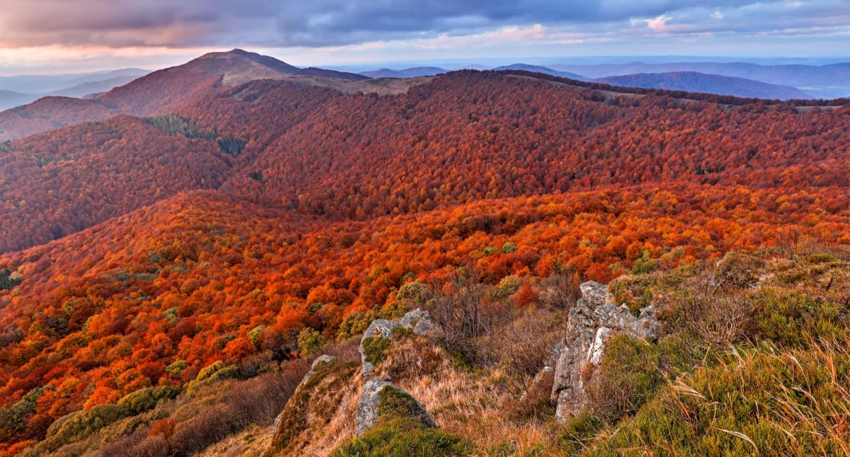 Bieszczady, widok na Smerek z Osadzkiego Wierchu, fot. Grzegorz Leśniewski