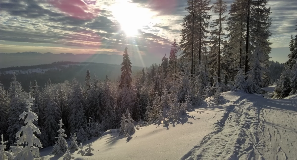 Fot. Andrzej Otrębski