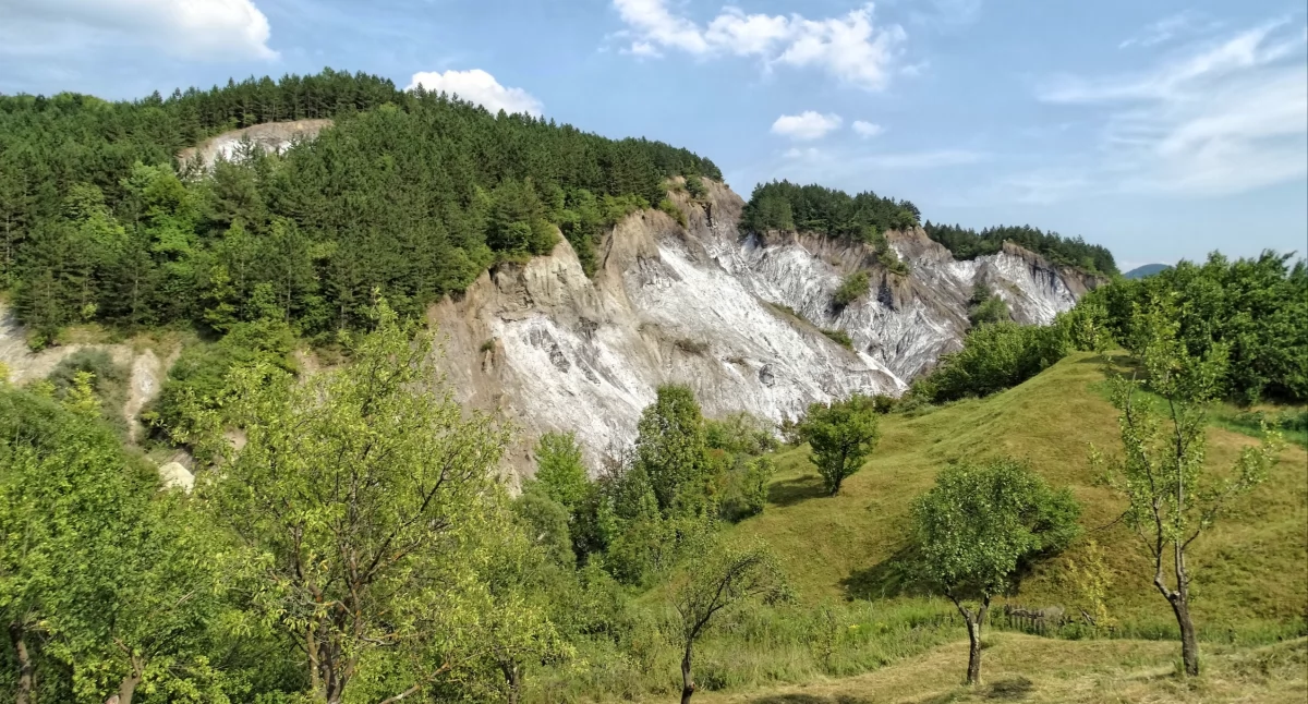 Fot. Albin Marciniak