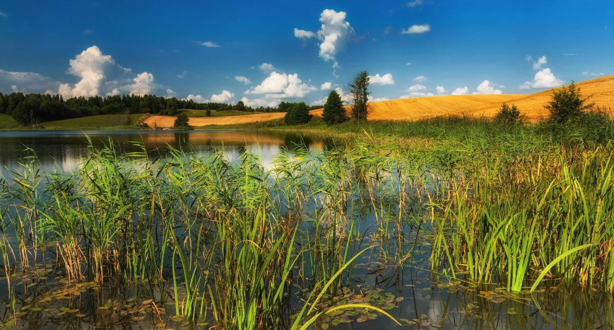 Góry Sudawskie, jezioro wśród trawiastych wzgórz, fot. Mikołaj Gospodarek