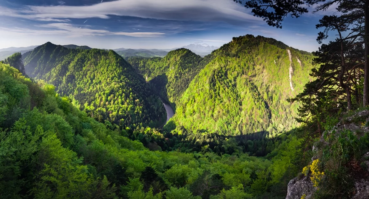 Pieniny. Przez Czertezik (772 m n.p.m.) przebiega szlak Sokola Perć | Fot. Karol Nienartowicz