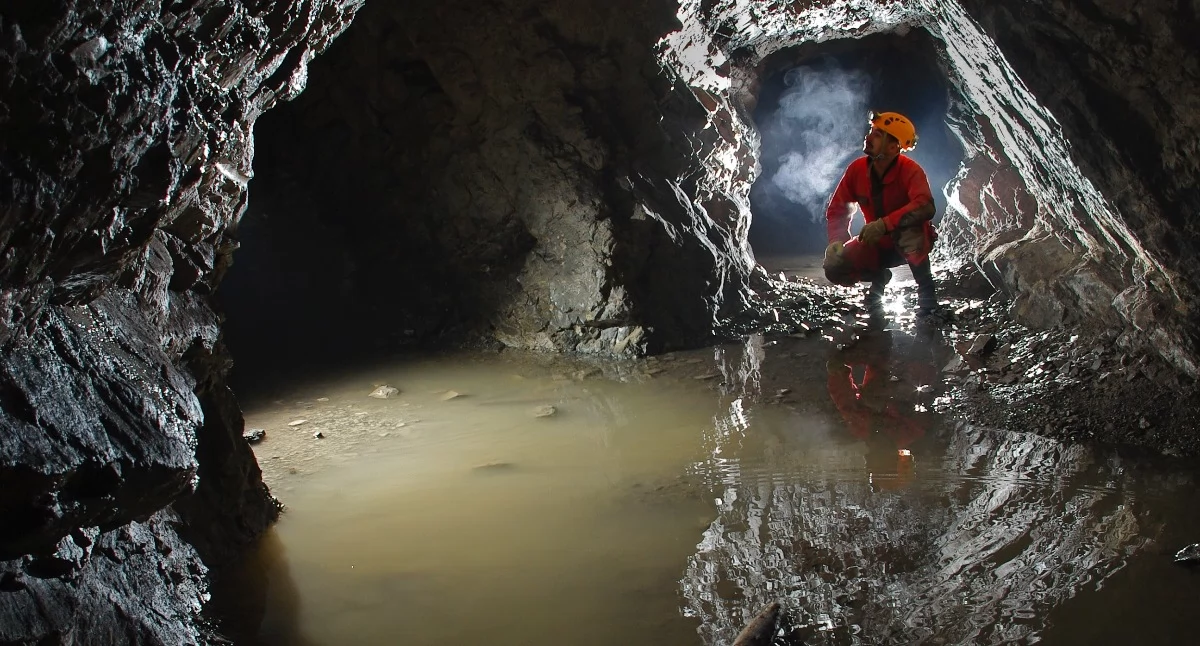 | Fot. Jan Kućmierz