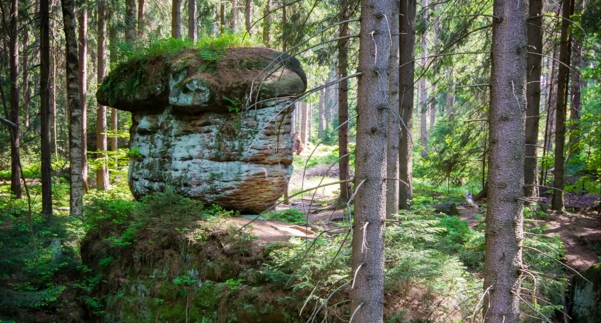| Fot. Urząd Marszałkowski Województwa Dolnośląskiego